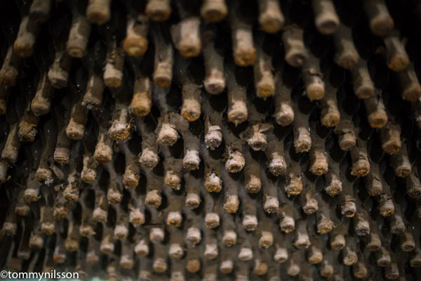 A few of the 2 + million bottles at Milestii Mici. Moldova