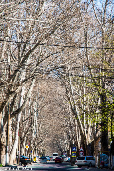 Strada 31 August 1989. Chisinau